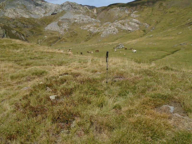 RUISSEAU LA GLÈRE harrespila