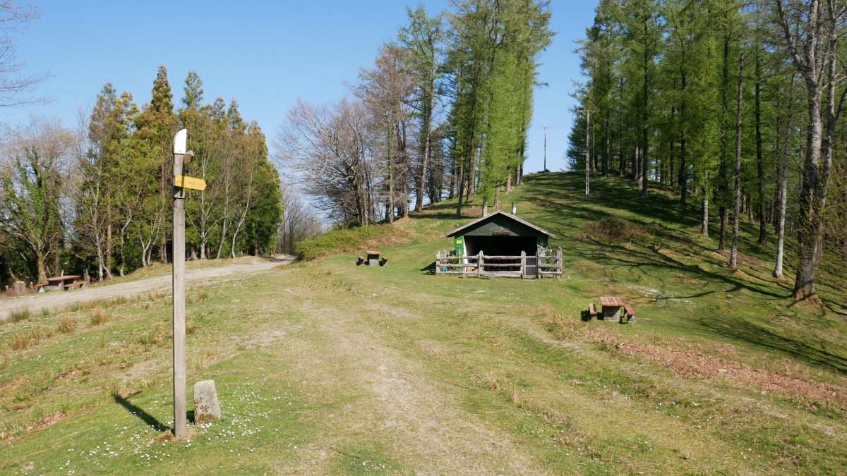 Otraitzeko borda