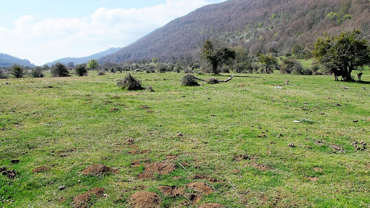 Zalbide 1 sur eraztun-tumulua, Urbasa