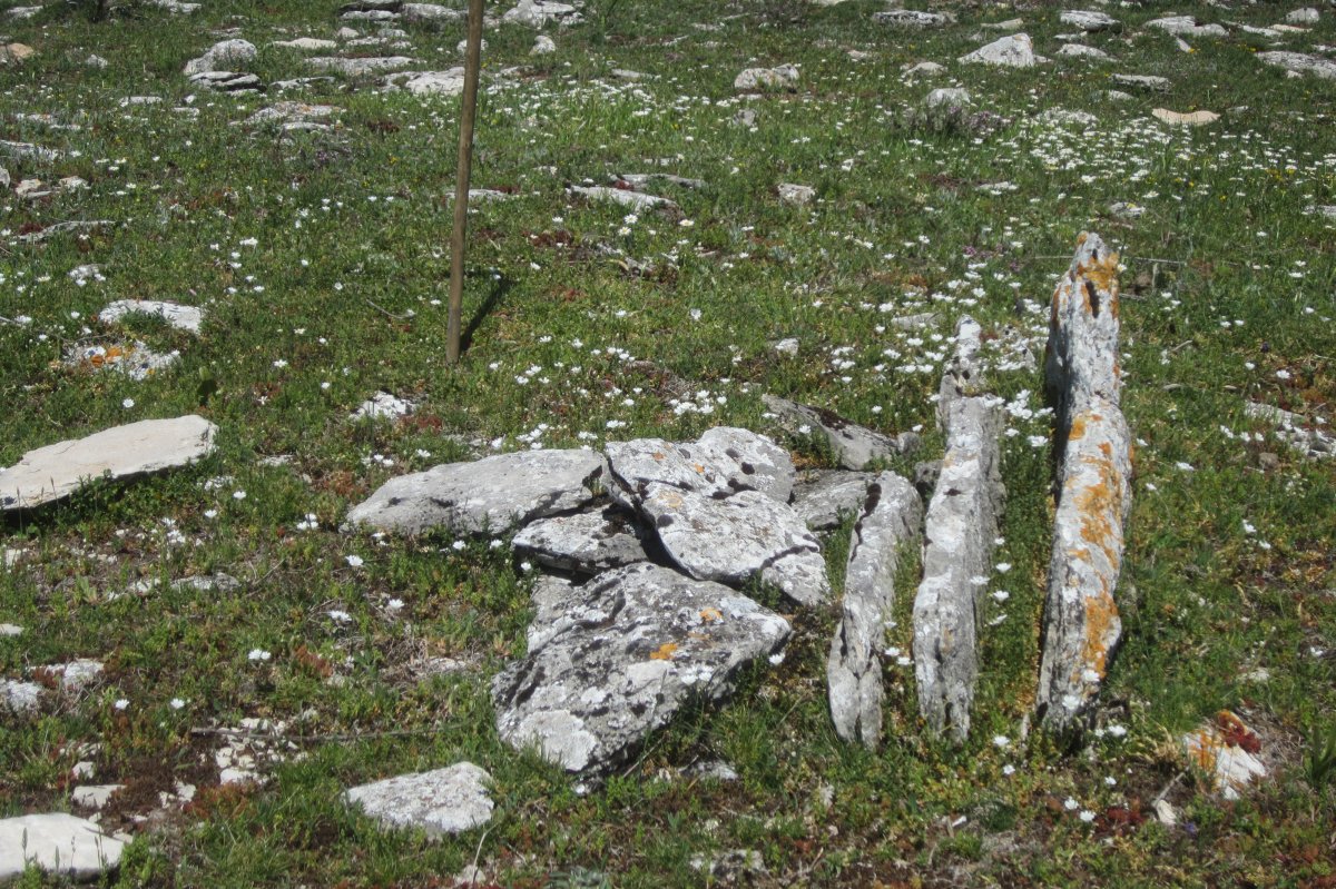 Dólmen Balsa Illarradi (Mayo 2019)