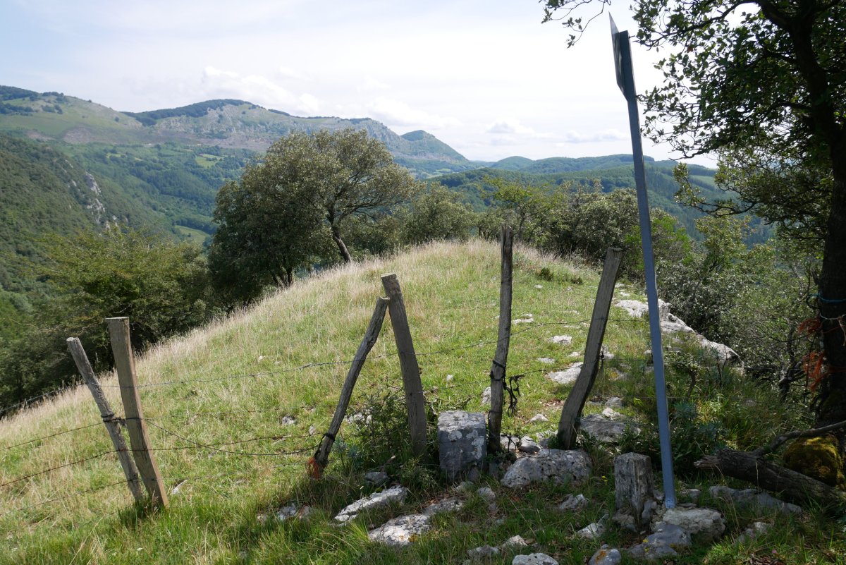 Tontorretik Era begira, Arritxu