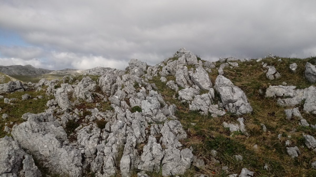 Elorrolako Haitza (1253m) tontorra