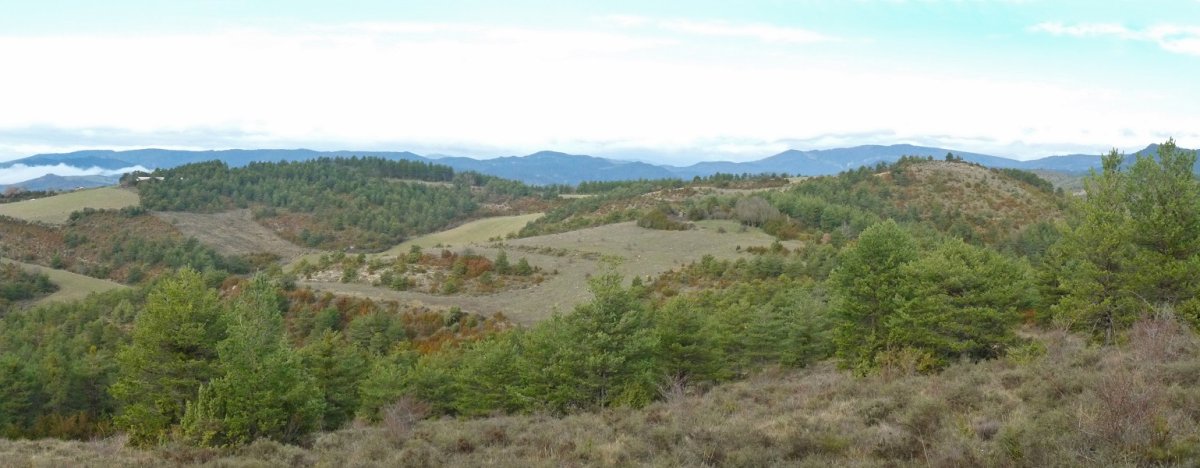 Zelaigaina, Egurzanoko bidetik