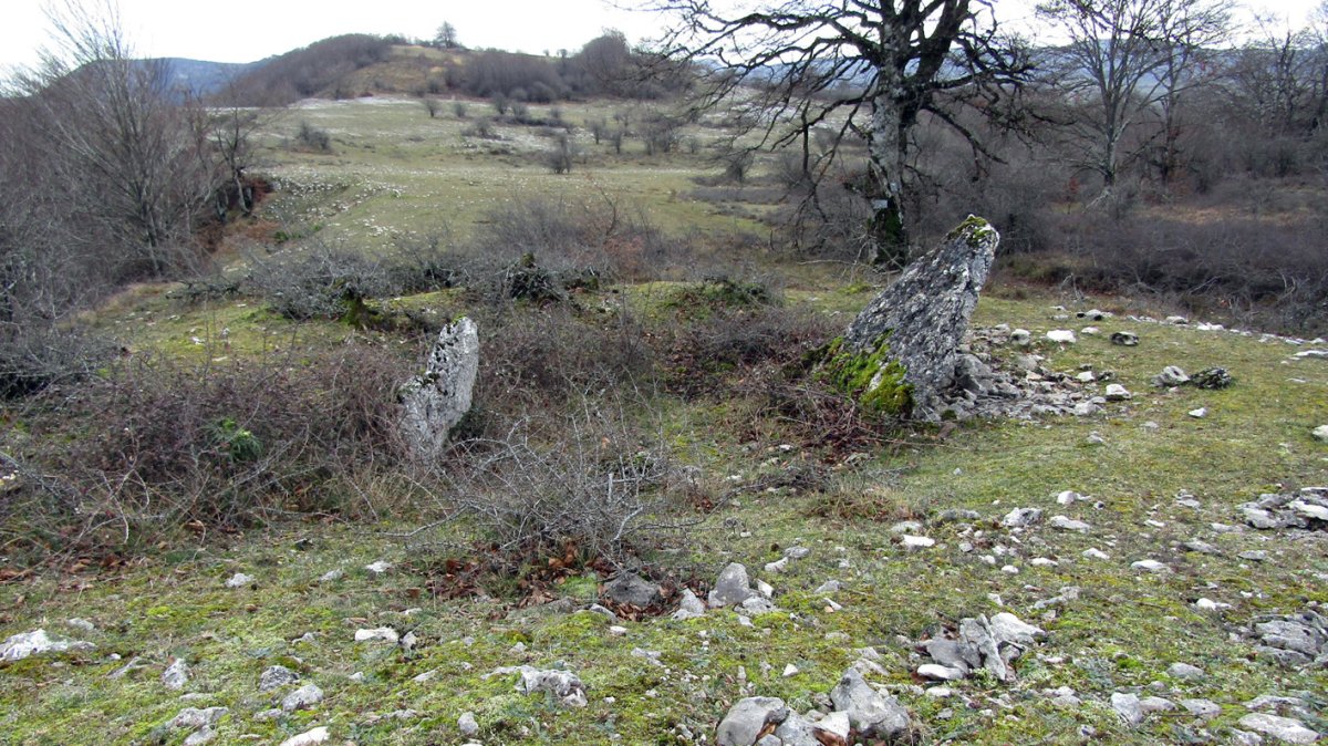 San Juan trikuharria, Arraia-Maeztu