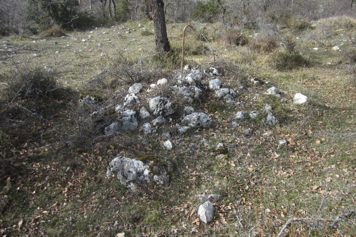 Campo Tumular Lazeta.Túmulo 1 (Febrero 2020)
