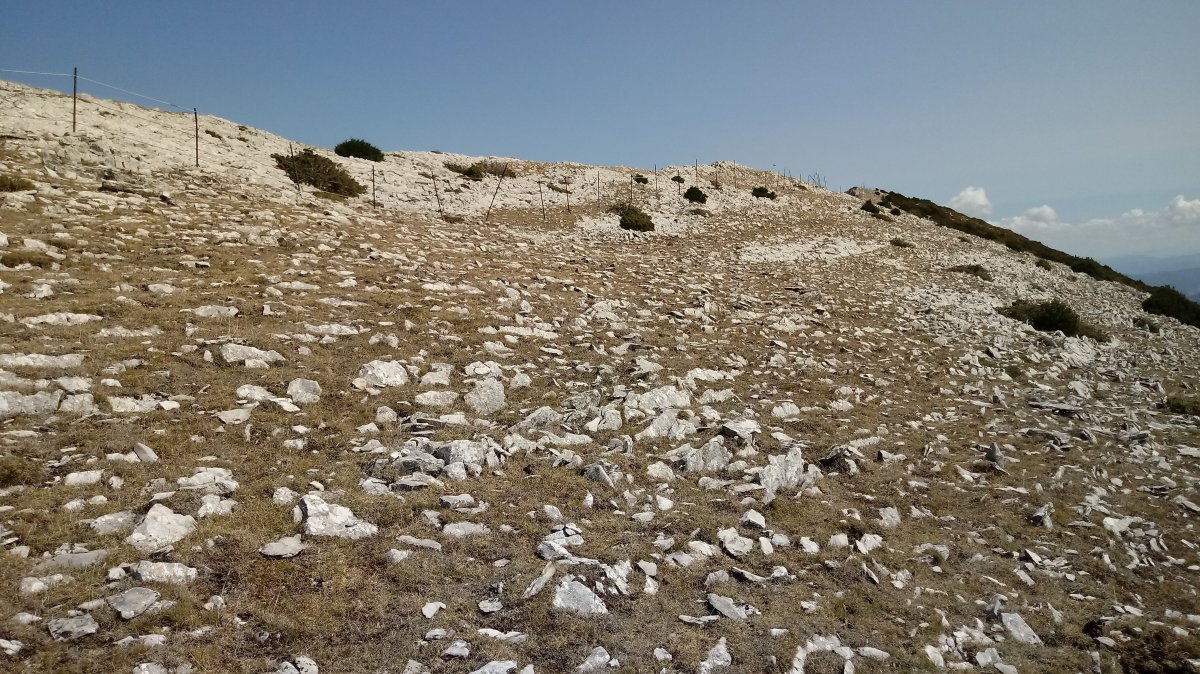 Idoitxiki (1272m) azken zatia gandorrean