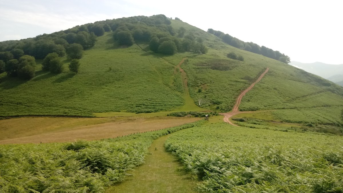 Berdaritzko lepoa eta Urrixka (990m) mendia.