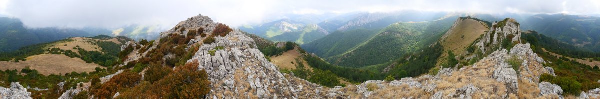 Larratza / Pikoatxikota tontorra