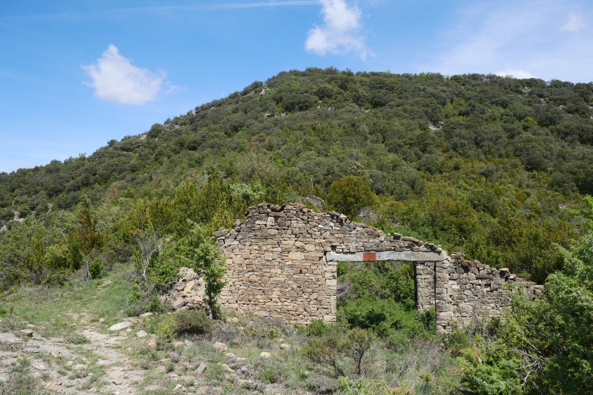 Borda ("paridera") baten aurriak bidean