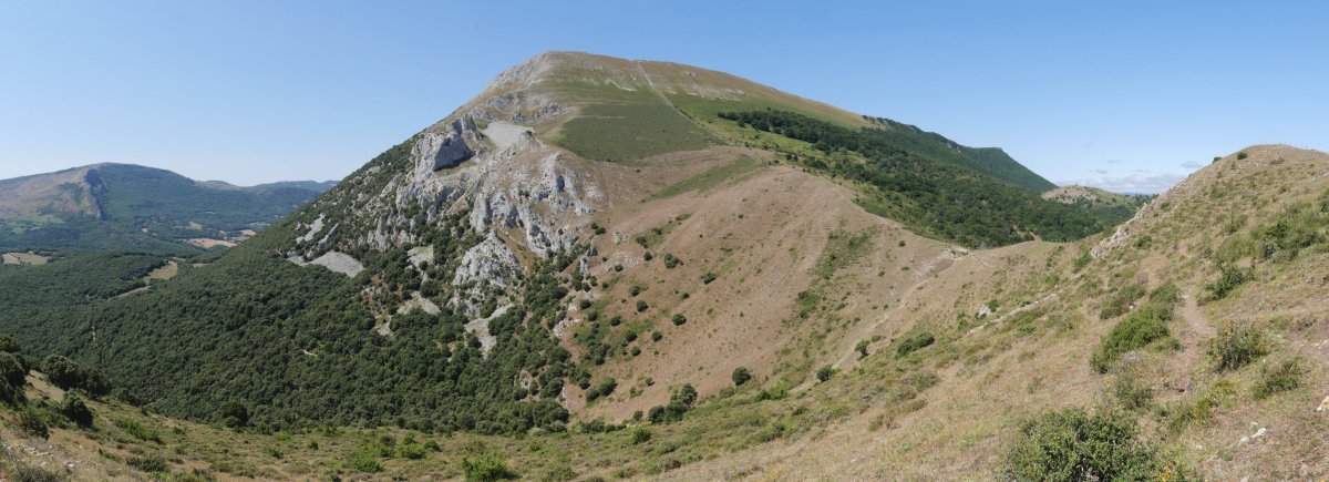 Txurregi, Olarregi aldetik ikusita