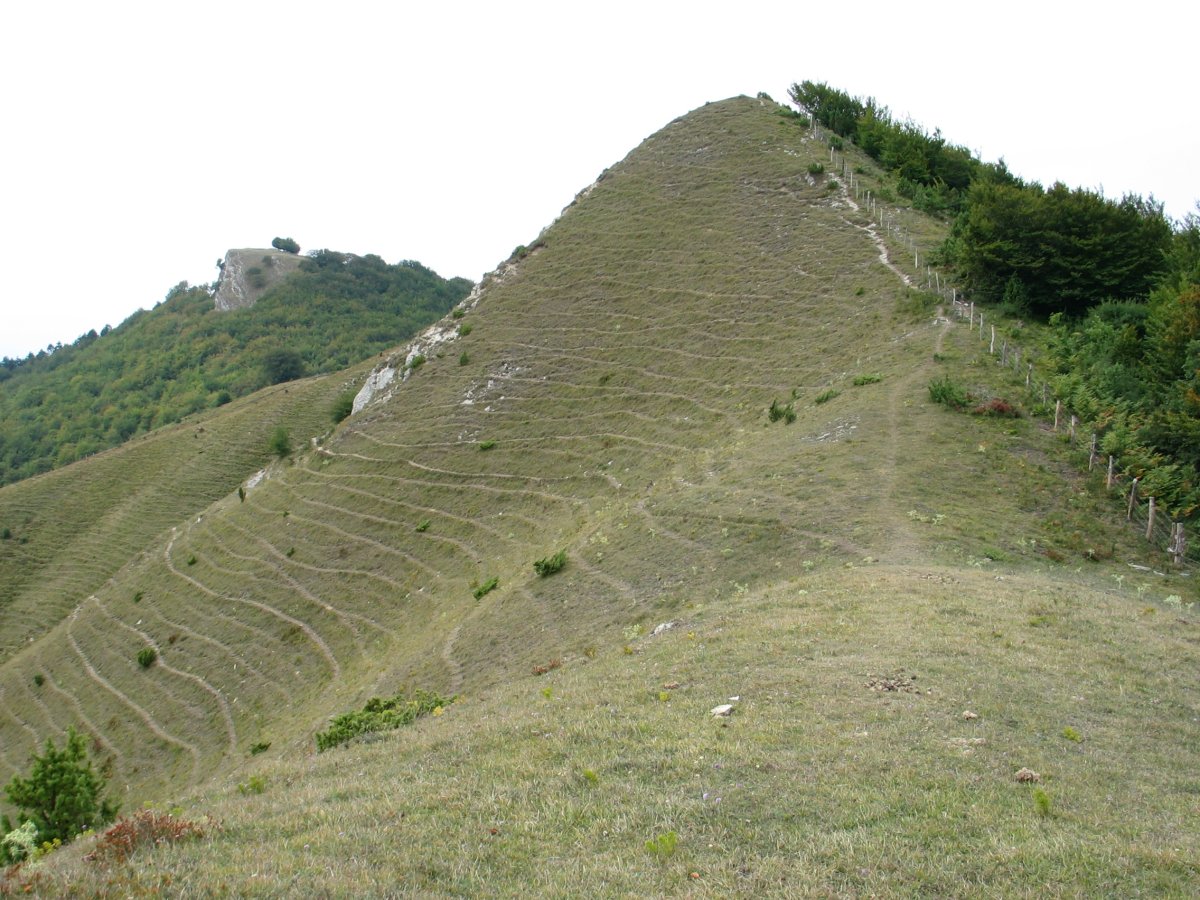 Urrutxaga, atzean Arriaundi duela
