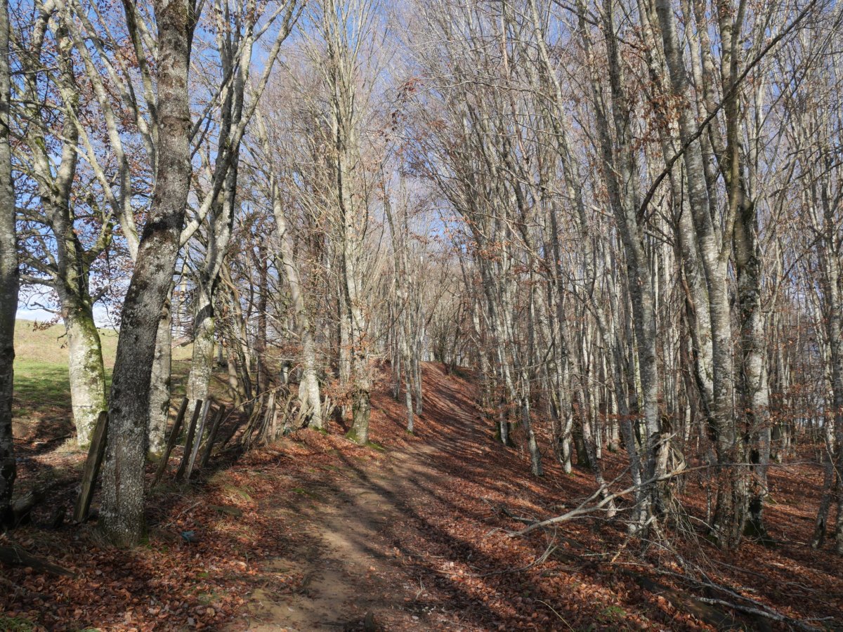 Itxondoa gainera gerturatzen hegoaldetik