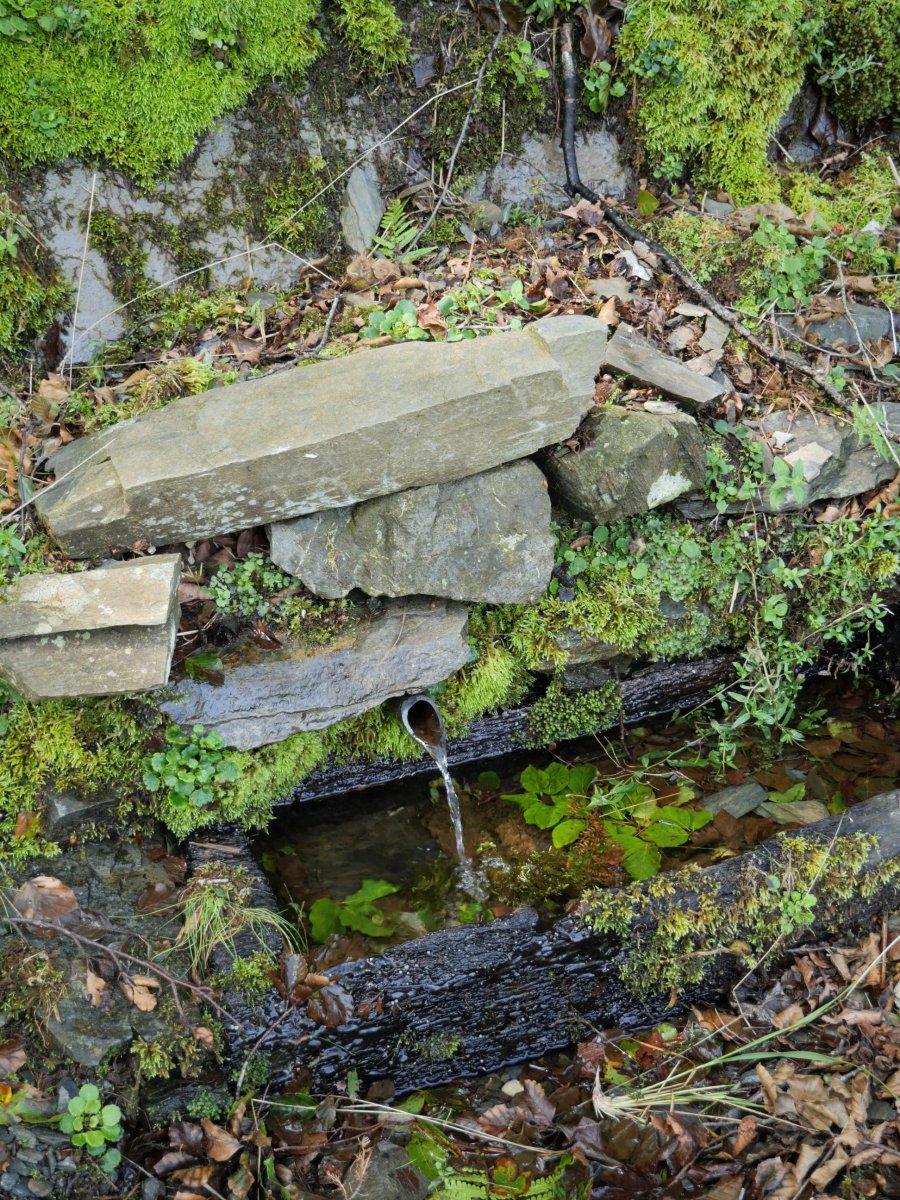 Iturria Negusoroko iparraldeko hegian