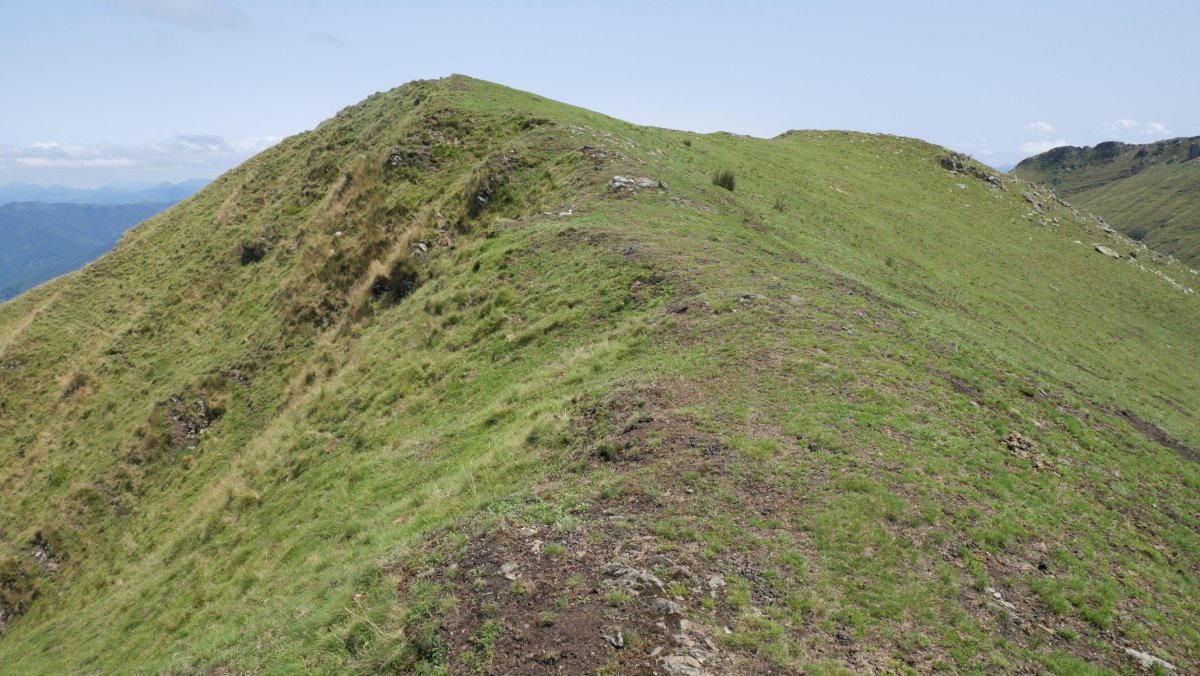 Mendieder tontorra mendebaldetik