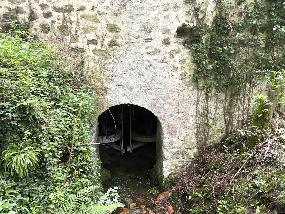 Ripatxo Errota. Amurrio (Delika)