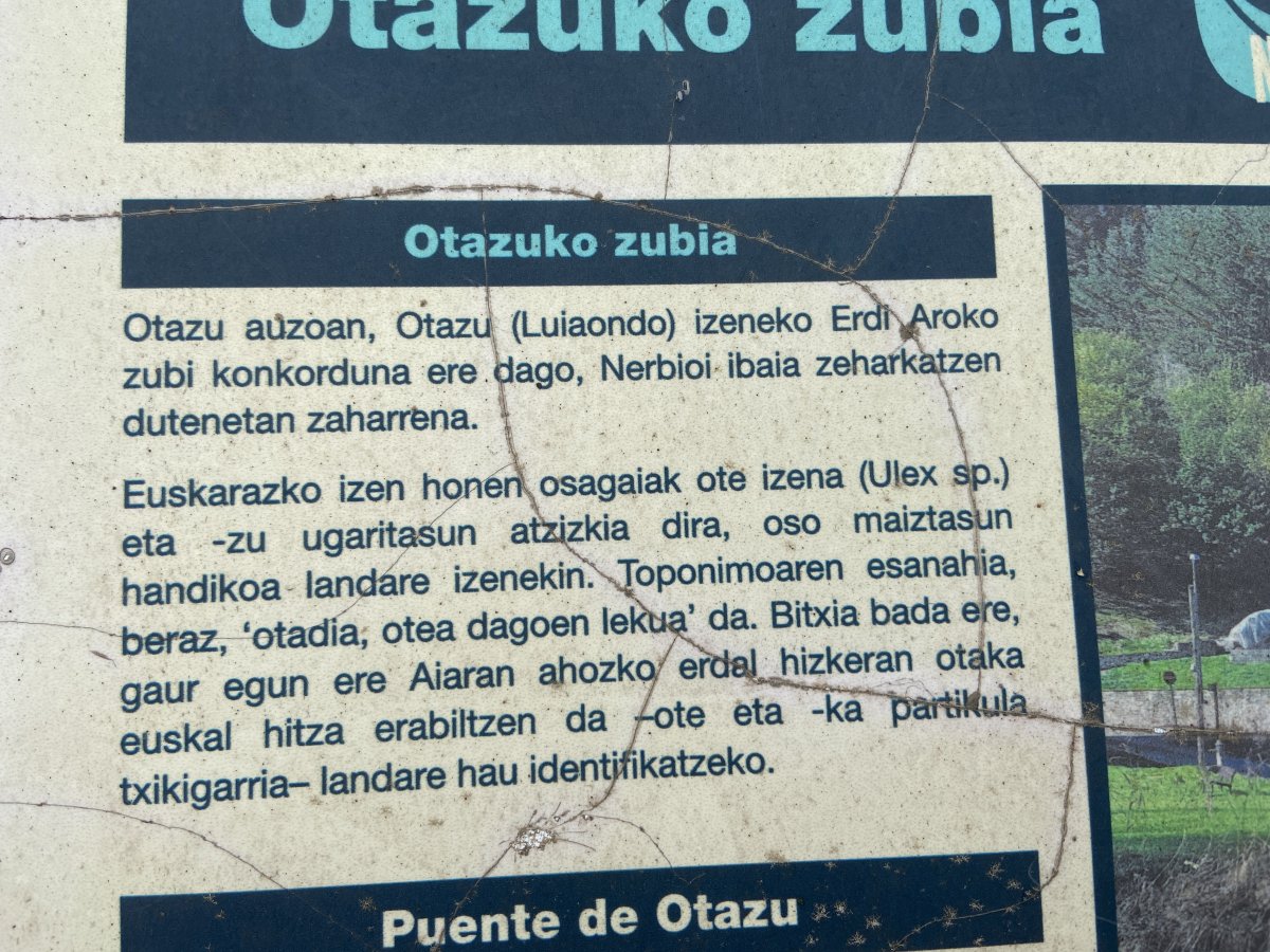 Otazuko Zubia. Aiara (Luiaondo)