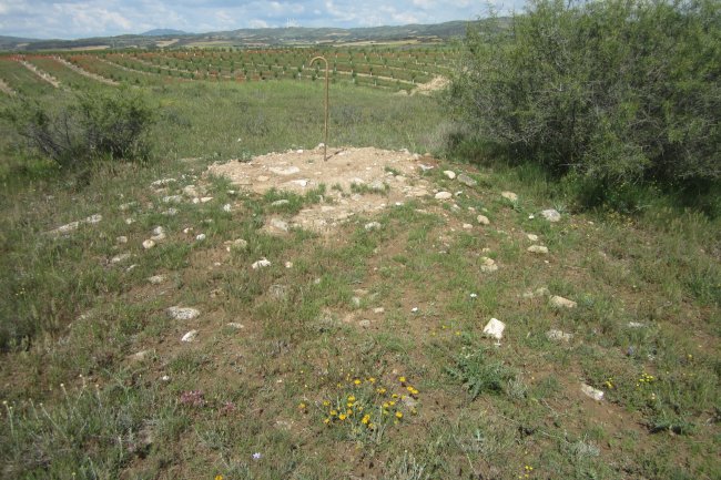 Túmulo Genzelaia nº 2  excavado (Junio 2018)