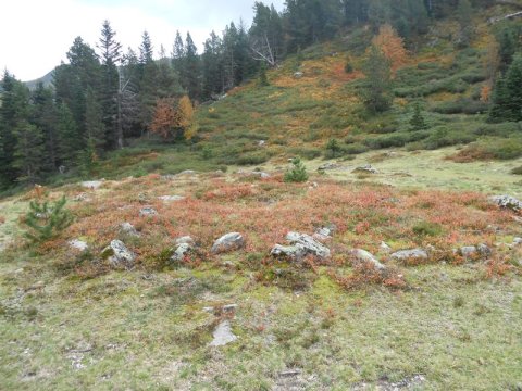 plateau de gouetsoule 2