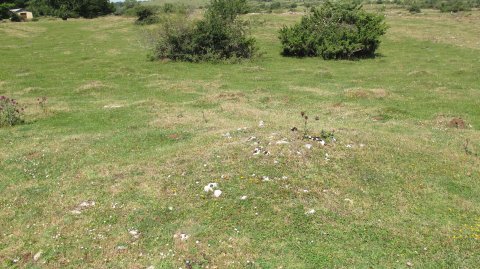 Corral de los Iriarte 1 tumulua, Limitaciones