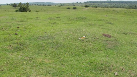 Sima de los Fusilados 2 etxola hondoa, Urbasa