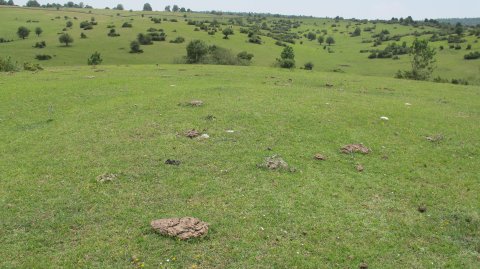 Alto de Errekasanta 2 tumulua, Urbasa