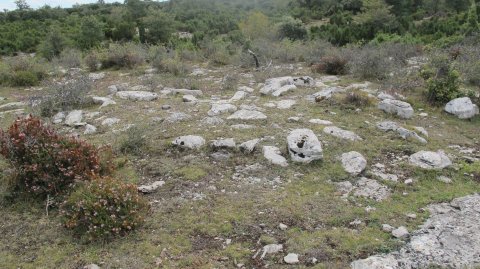 Torrogoitia este tumulua, Badaia mendikatea