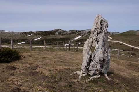 Balsa Fría zutarria