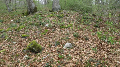 Bagaritxa 2 ekialde tumulua, Goñi