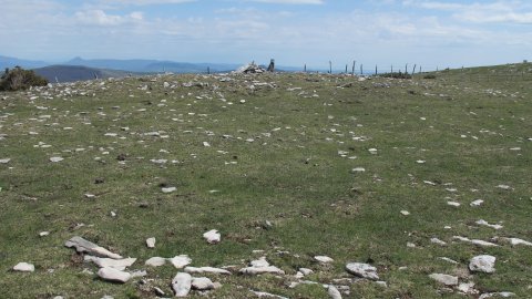 Trekua norte eraztun-tumulua, Andia