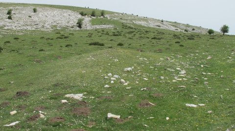 Goñiko bidea etxola hondoa, Andia