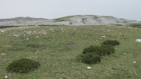 Beorzulo eraztun tumulua, Andia