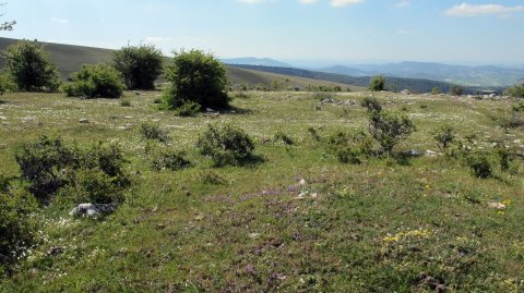 San Kristobal eraztun-tumulua, Lezaun