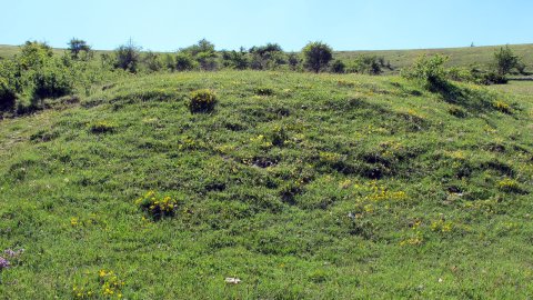 El Raso etxola hondoa, Lezaun