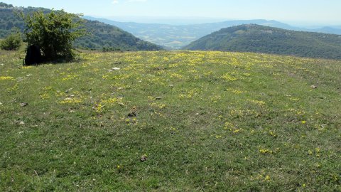 El Raso tumulua, Lezaun