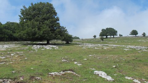 Larrenganbelako Aldapa eraztun-tumulua, Andia