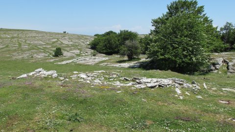 Larrenganbelako Aldapa txabola tumularra, Andia