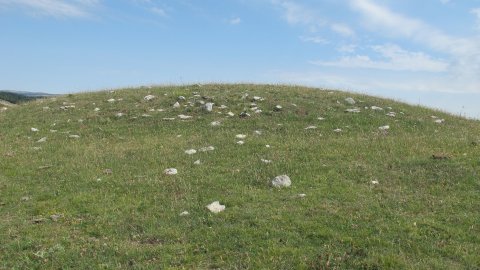 Motxope tumulua, Munarriz-Goñi