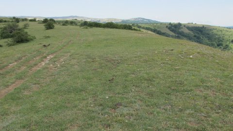 Zoiolako Lepoa 1 eraztun-tumulua, Munarriz-Goñi