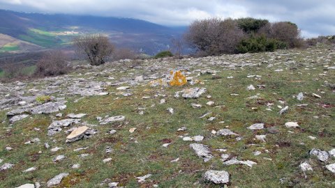 Balsa Illarradi trikuharria, Azantza-Goñi