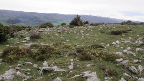 Balsa Illarradi 4 eraztun-tumulua, Azantza-Goñi