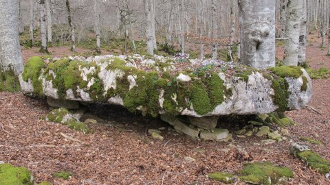 Los Pocicos megalitoa, Entzia