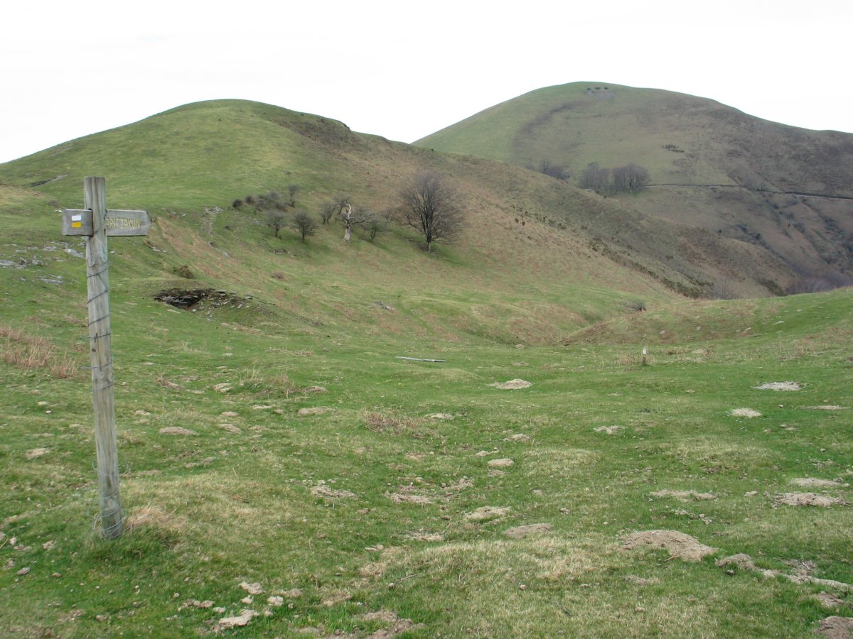 Lizartzu Burdiako lepoaren ingurutik