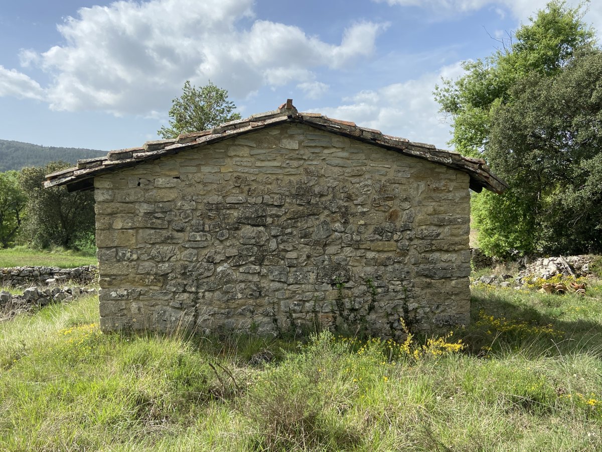 Las Animas Ermita. Erriberagoitia (Barron)