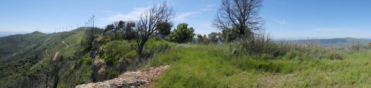 Ariztigorri gaina