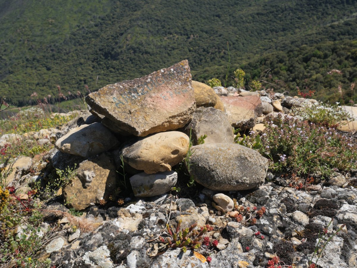 Ariztigorri tontorra