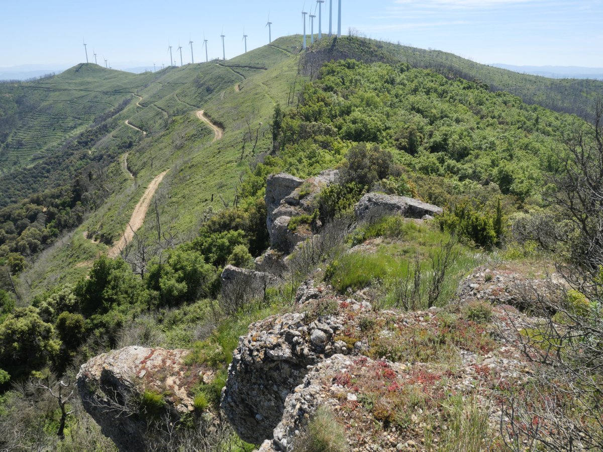 Ekoiengo Gaina Ariztigorritik