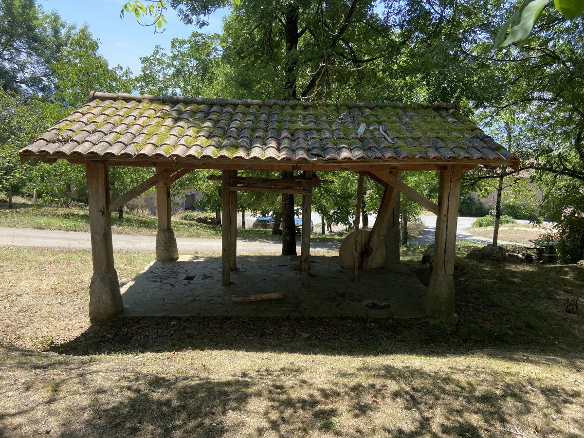 Perratokia. Dima (Artaun)