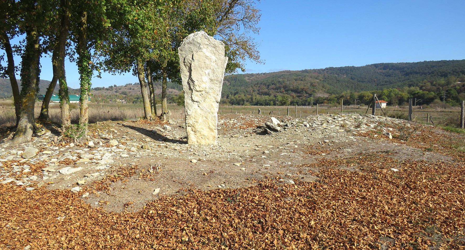 Gurpide Norte trikuharria, Katadiano-Kuartango