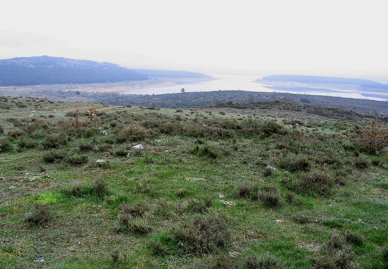 ladrera