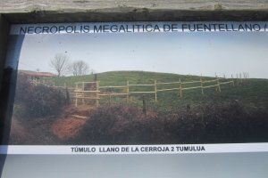 Túmulo Llano de la Cerroja 2  (Septiembre 2020)